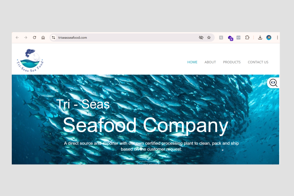 Website Development Project 1